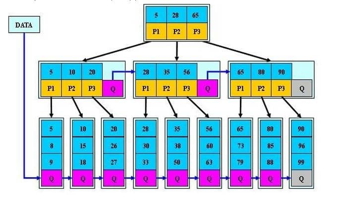 B星树示例图